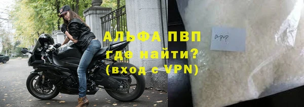 PSILOCYBIN Гусь-Хрустальный