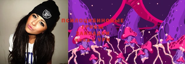 бошки Гусиноозёрск