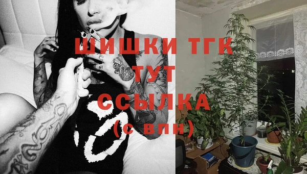 герыч Дмитриев