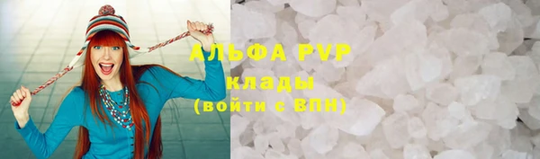 PSILOCYBIN Гусь-Хрустальный