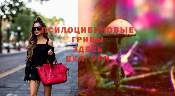 PSILOCYBIN Гусь-Хрустальный
